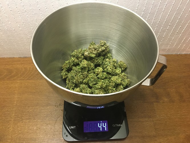Growreport Bild 3