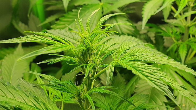 20200923_104622_resized