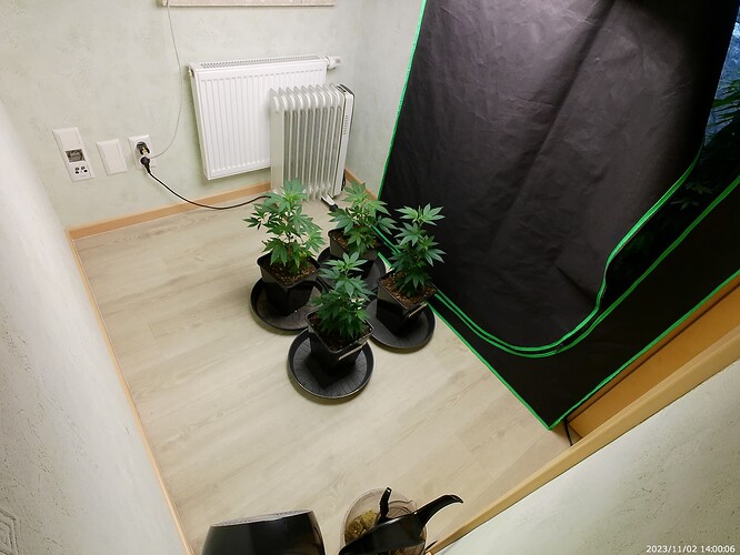 Growreport Bild 2
