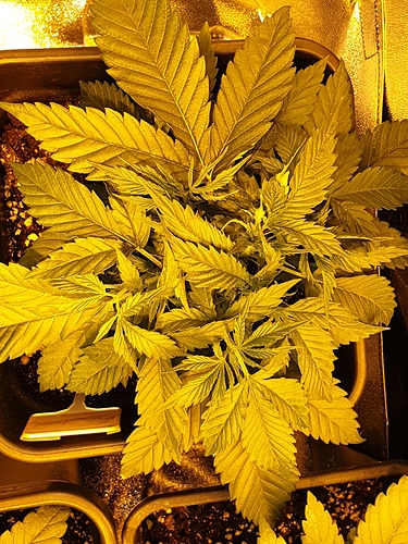 Growreport Bild 10