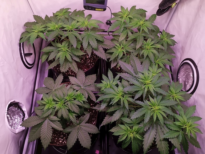 Growreport Bild 8