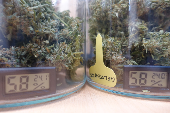 Growreport Bild 6