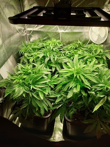 Growreport Bild 9
