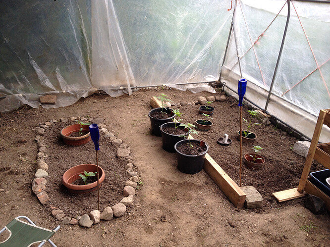 Growreport Bild 4