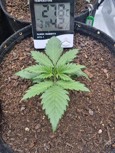 Growreport Bild 13