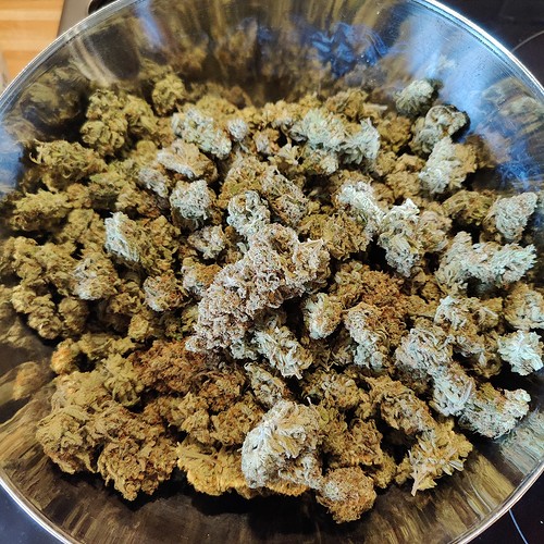 Growreport Bild 62