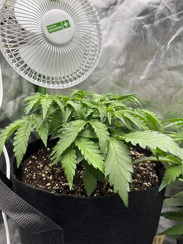 Growreport Bild 20