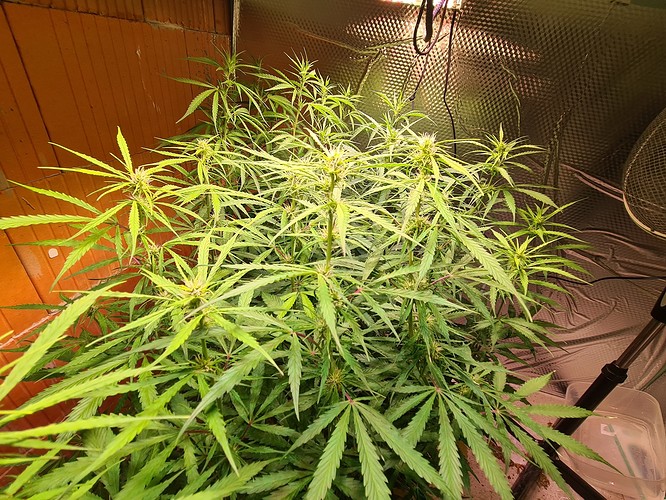 Growreport Bild 10