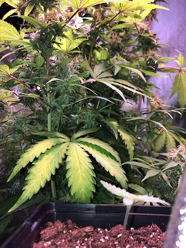 Growreport Bild 14