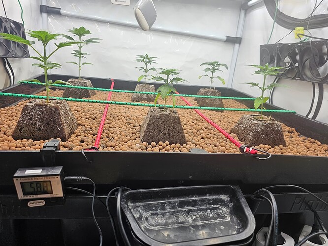 Growreport Bild 9