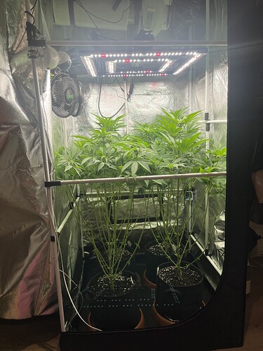 Growreport Bild 9