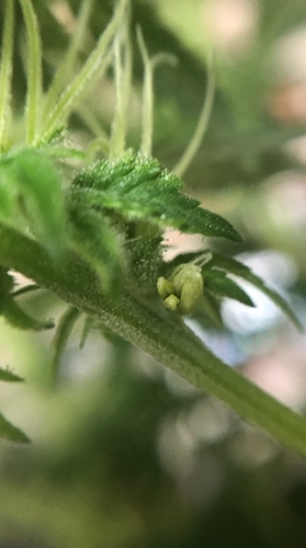 Growreport Bild 14