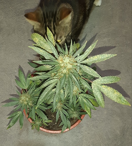 Growreport Bild 10