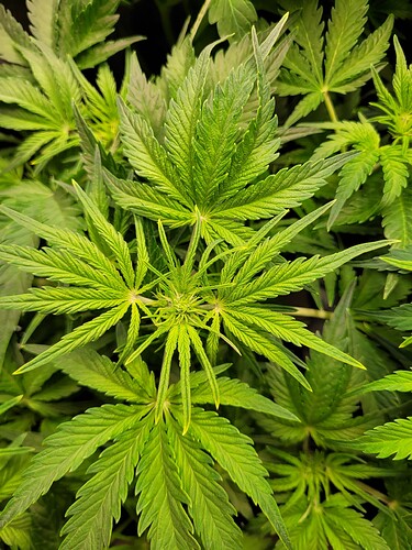 Growreport Bild 10