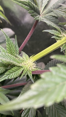 Growreport Bild 12