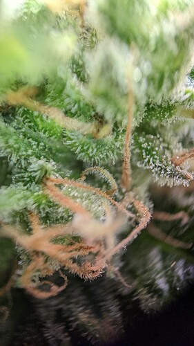 PXL_20221020_180157655