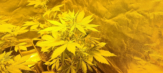 Growreport Bild 2