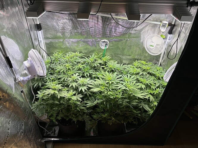 Growreport Bild 18
