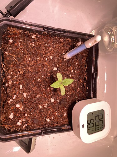 Growreport Bild 20