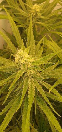 Growreport Bild 10