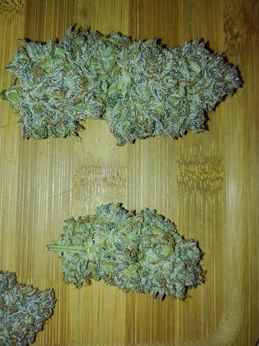Growreport Bild 6