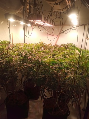 IMG_20210223_203126_396