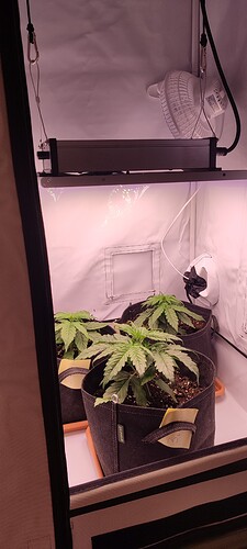 Growreport Bild 12