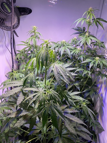 Growreport Bild 4