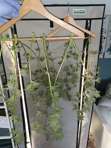 Growreport Bild 7