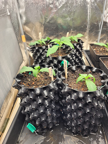 Growreport Bild 11