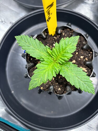 Growreport Bild 23