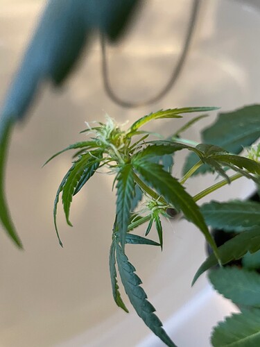 Growreport Bild 9