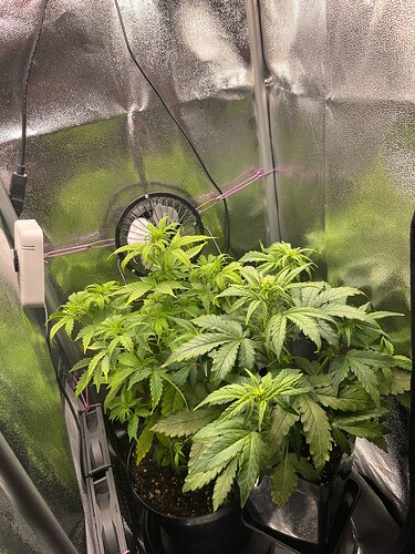 Growreport Bild 5
