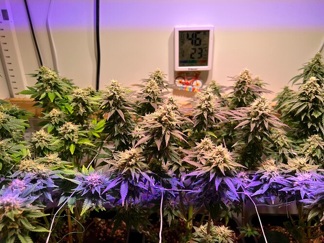 Growreport Bild 9