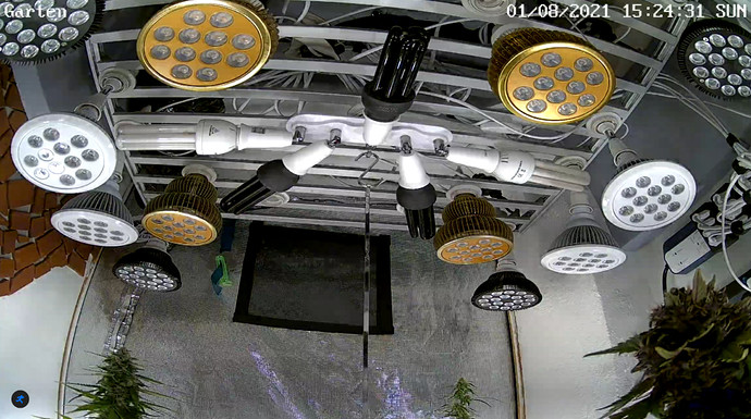 Growreport Bild 13