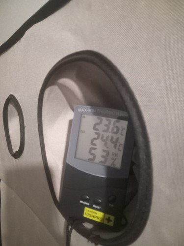 Growreport Bild 20