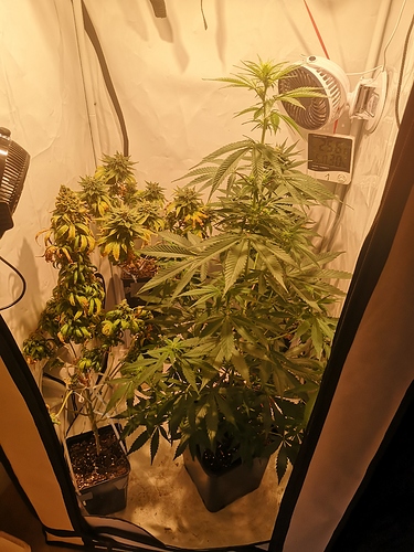 Growreport Bild 5
