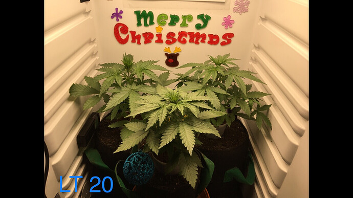 Growreport Bild 6