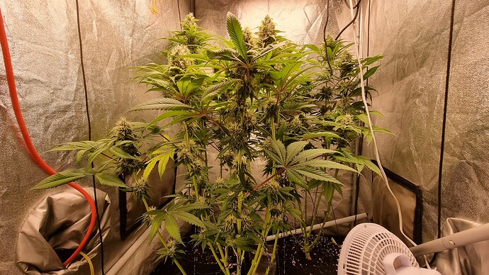Growreport Bild 2