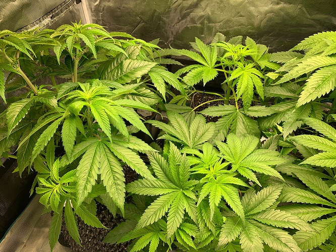 Growreport Bild 11