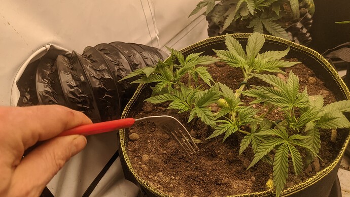 IMG_20231130_121752_622