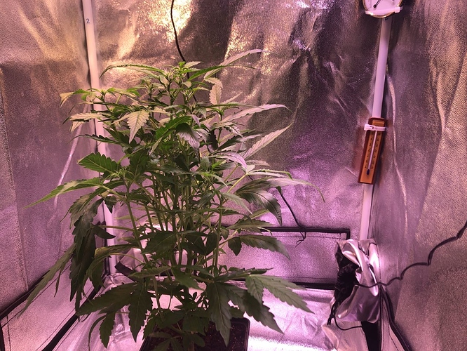 Growreport Bild 36
