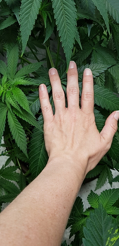 Growreport Bild 2