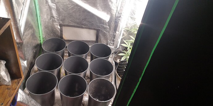 Growreport Bild 17