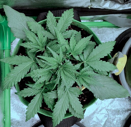 5666bd803c79056ebc07dda290fe3c973b9b2a4b