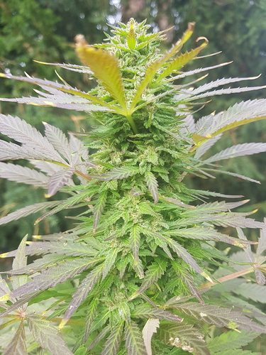 Growreport Bild 14