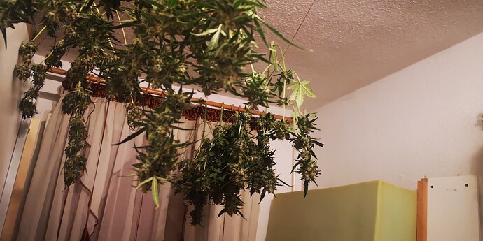 Growreport Bild 2
