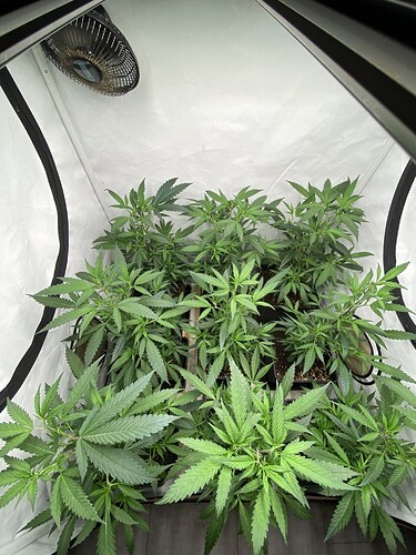 Growreport Bild 14