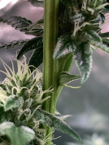 Growreport Bild 9