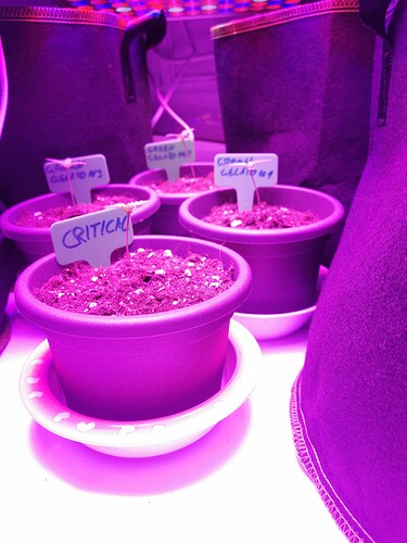 Growreport Bild 22
